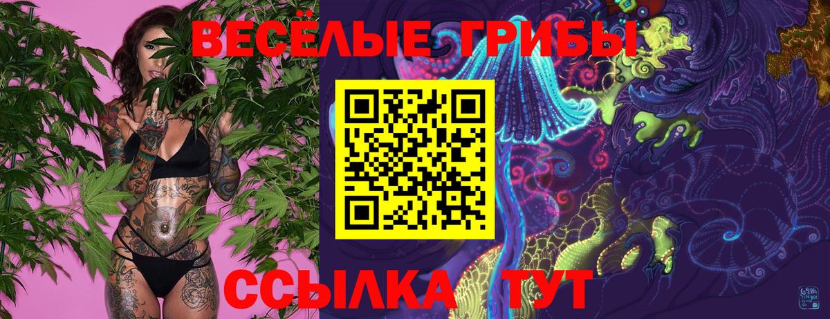 Галлюциногенные грибы Cubensis  Вход с VPN  Галлюциногенные грибы Magic Shrooms  Елизово 